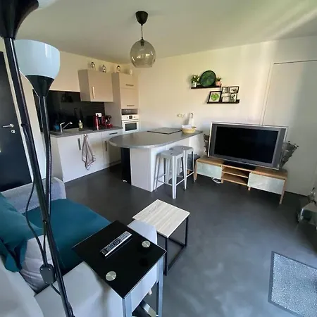 Apartment Nantes Sud Loire St Sebastien Sur Loiremaison T 2 *